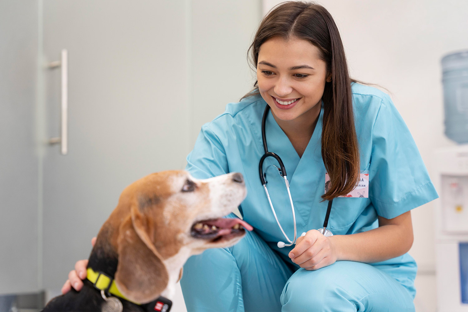 狗狗關節保健推薦